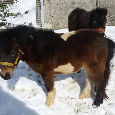 Glamping Oasis Of Peace Preddvor