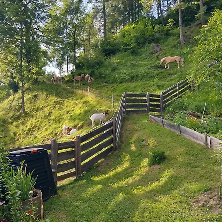 Glamping Oasis Of Peace Luksuzni šator