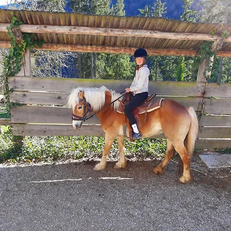 Glamping Oasis Of Peace * Preddvor