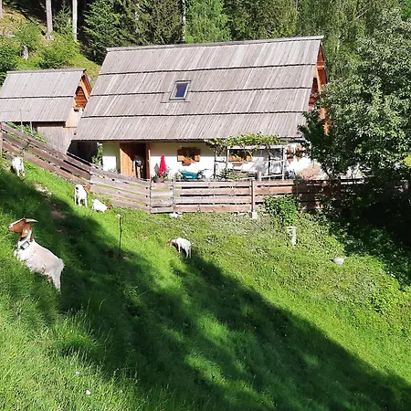 Luksuzni šator Glamping Oasis Of Peace Preddvor