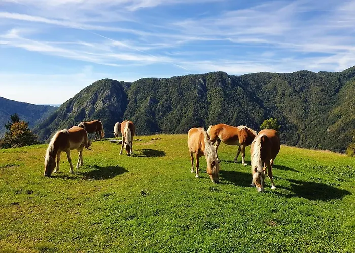 Glamping Oasis Of Peace *