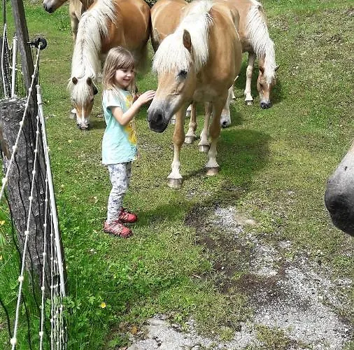 럭셔리텐트 Glamping Oasis Of Peace 프레드보르