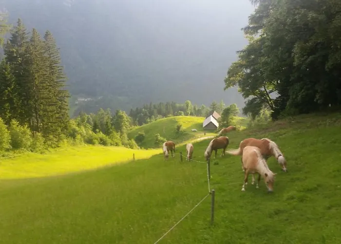 럭셔리텐트 Glamping Oasis Of Peace *