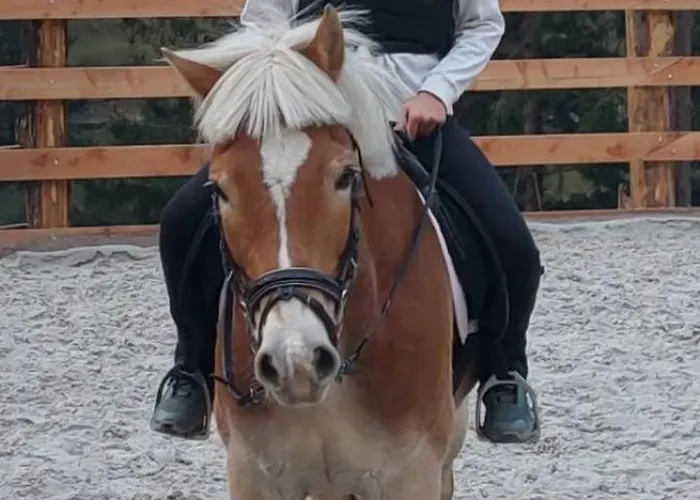 럭셔리텐트 Glamping Oasis Of Peace