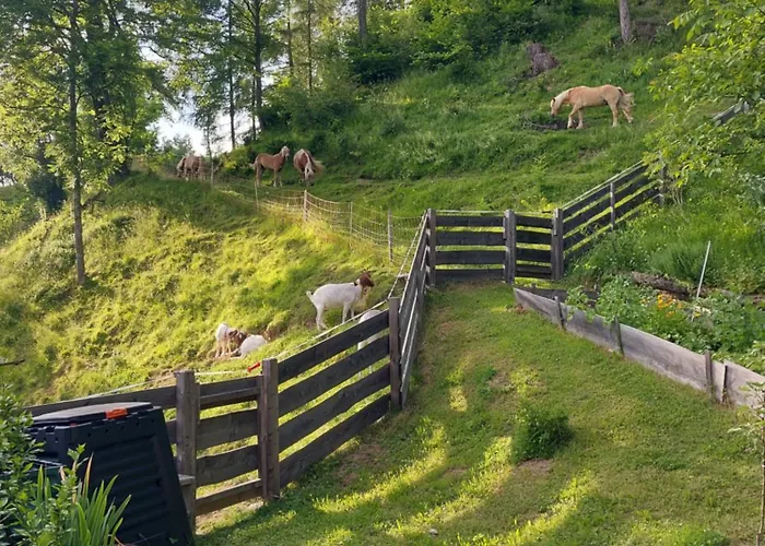 Glamping Oasis Of Peace 럭셔리텐트